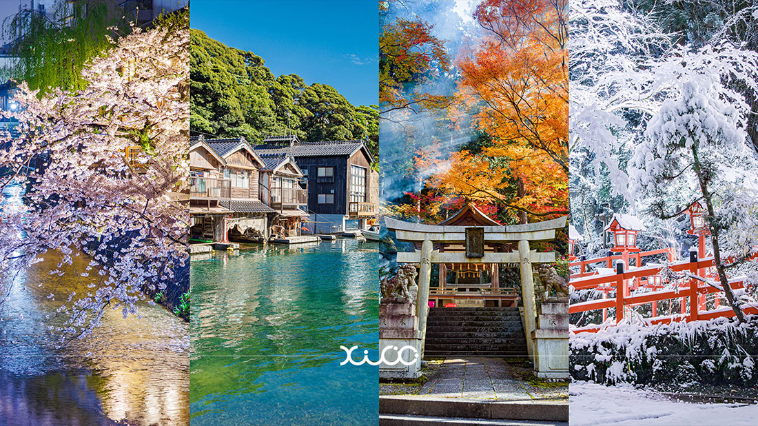 四季を一層鮮やかに 極彩色で楽しむ京都の風景